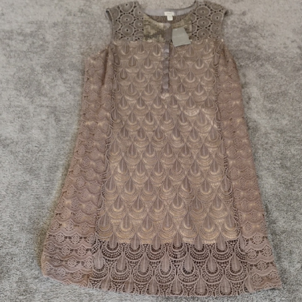 Anthropologie Lace Shift Dress in Mauve Taupe